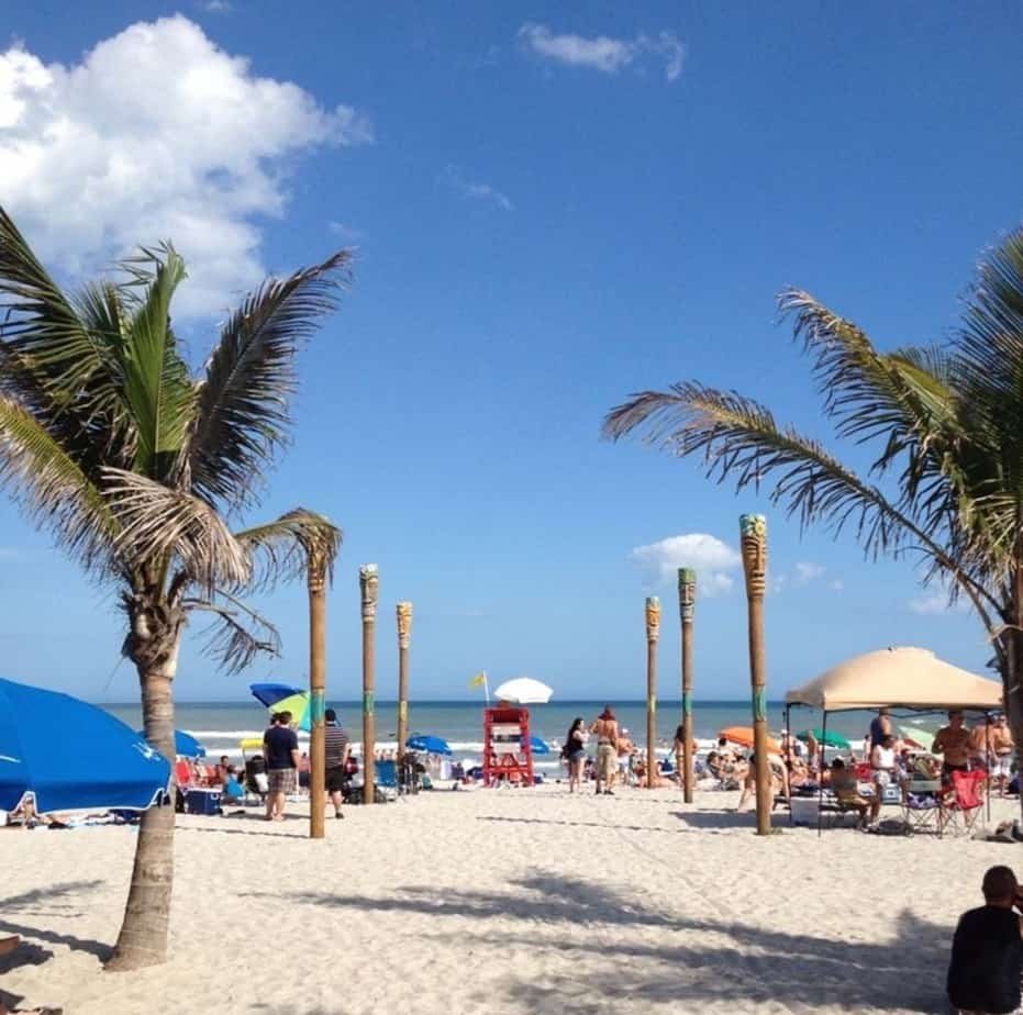 Coconuts on the beach
